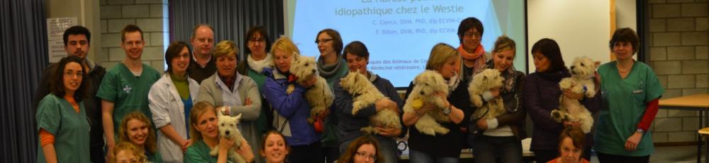 westieipfresearch.thumb.jpg.d2ced7a11dcf