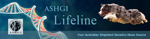 Masthead-ASHGI-Lifeline-web.jpg.1036c6b0