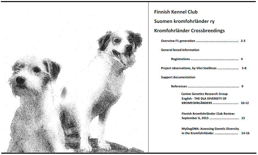 kromieX.png.2f8371160b11c178c664506c944c