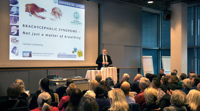 skkbrachyconferencefeb2016.png