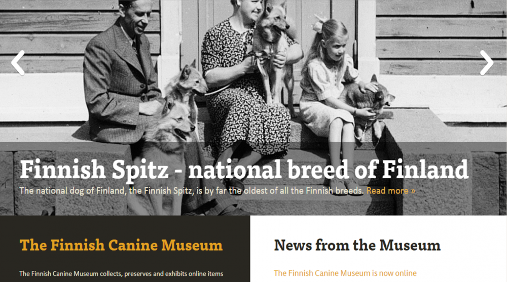 Finnish spitz national breed from museum.png