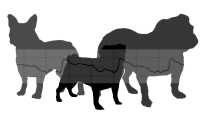 UK-Cambidge-BOASbreedssm.png