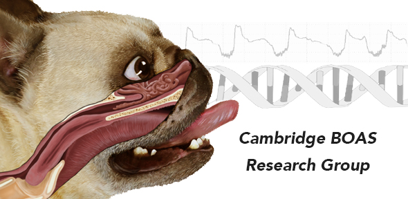 boascambridgeresearchgroup.png