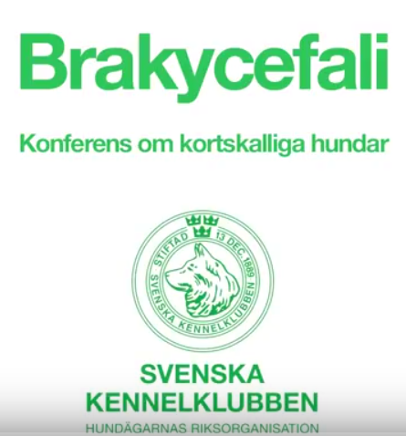 brachykonferens.png