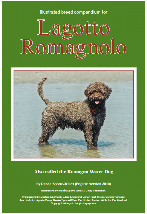 lagotto illustratedstandard.png