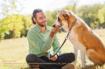 guy-and-dog-kelly.png