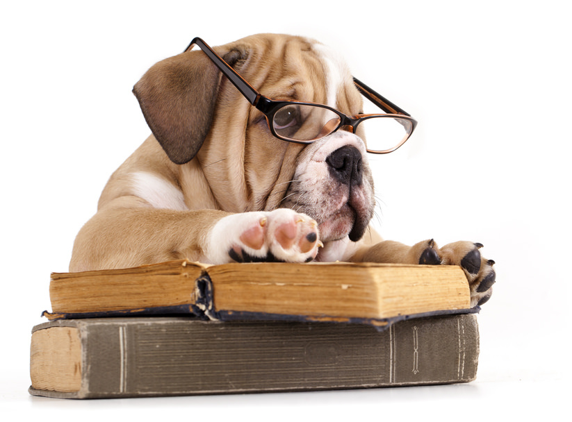 bulldogbooks.jpg