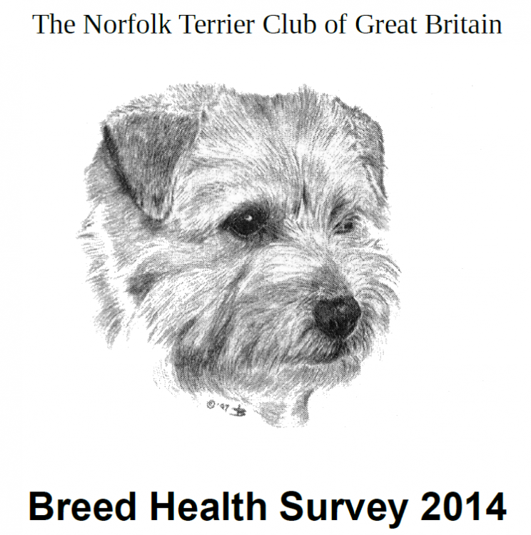 norfolkhealthreport-gb.png