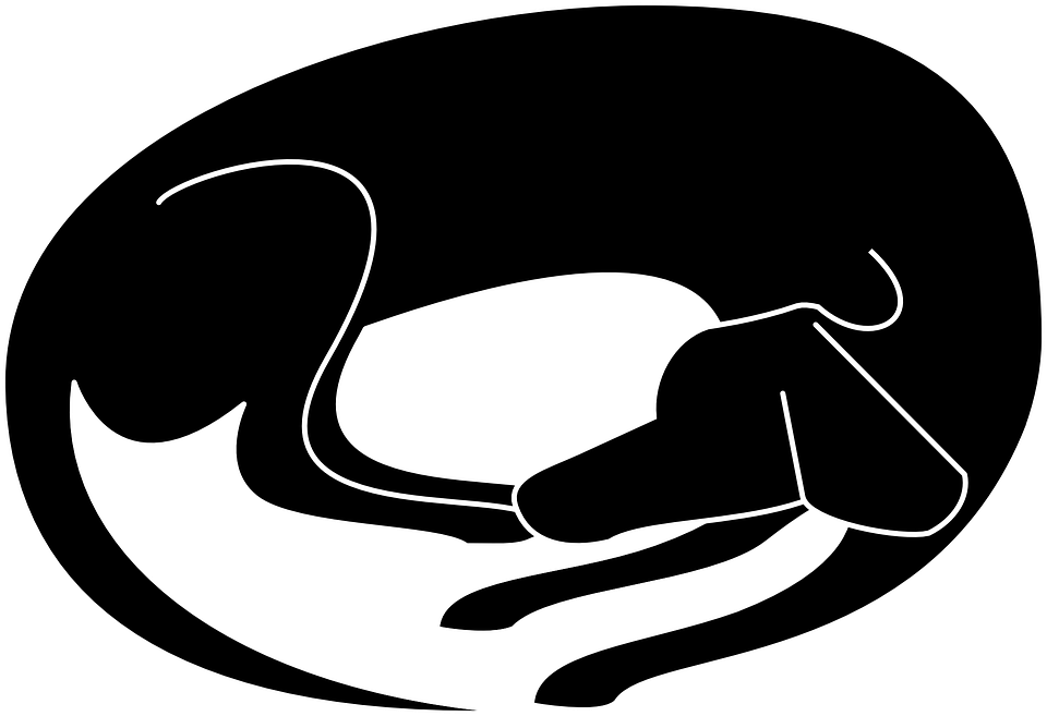 dog-156947_960_720.png