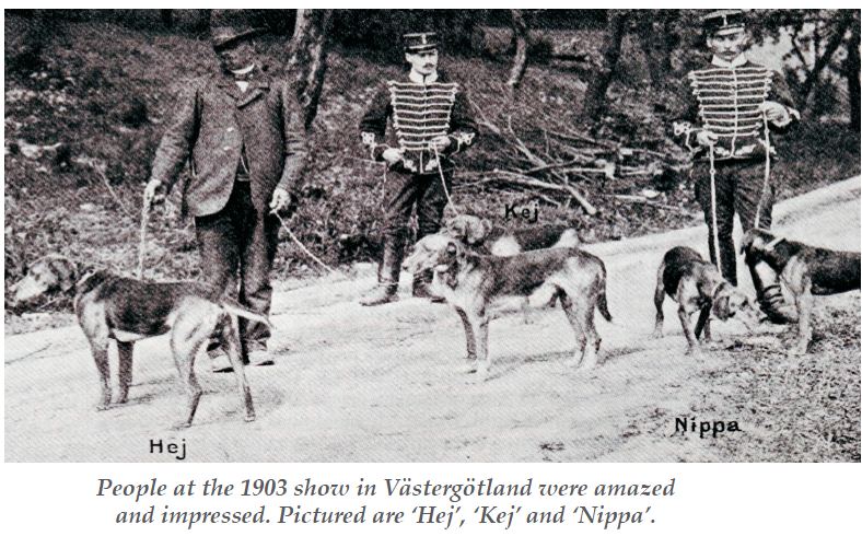 shillerhundhistory.png