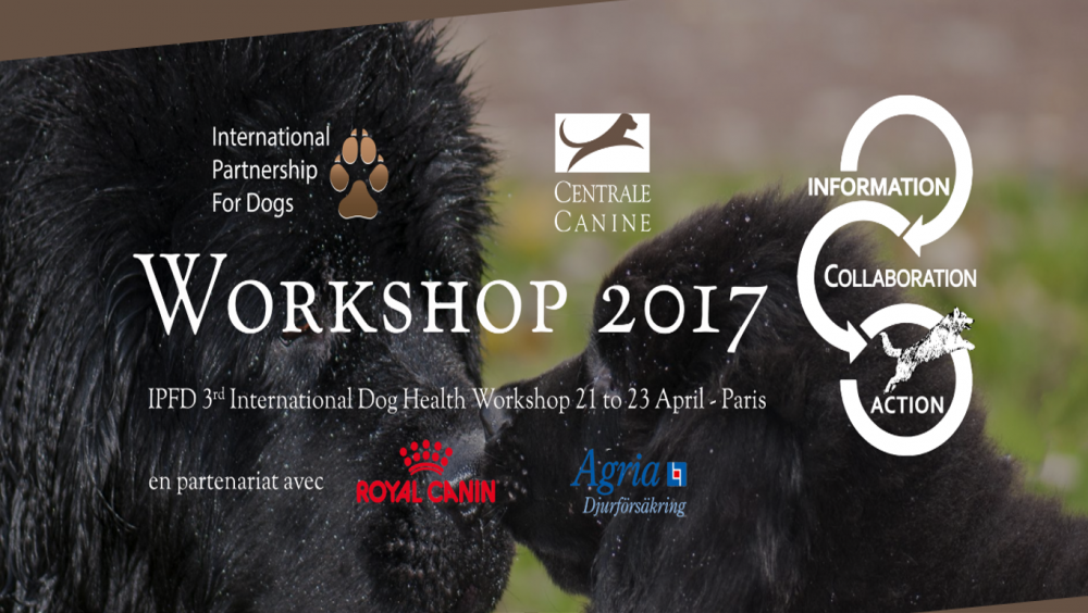Workshop 2017_2.png
