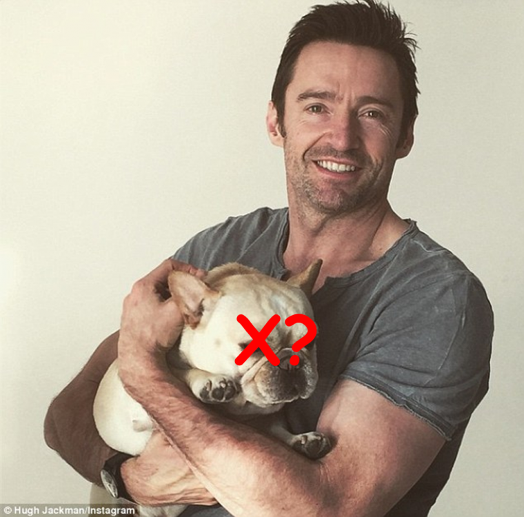 hughman jackman X.png