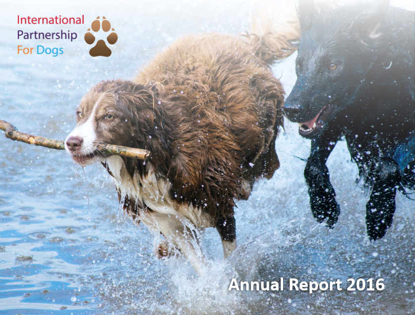 Report Cover.png