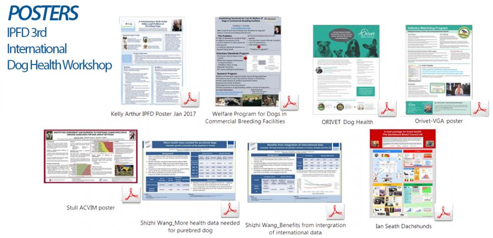 posters3rdinternationaldoghealthworkshop.jpg