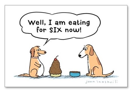 pregnant_dog_cartoon_postcards_package_of_8.jpg.jpg