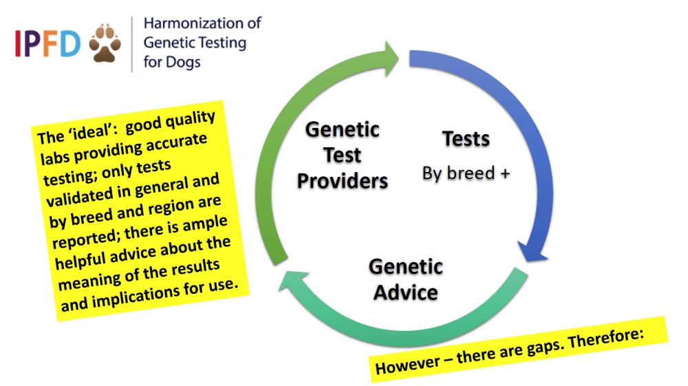 bbpresentationslidehgtdaug17chf.png