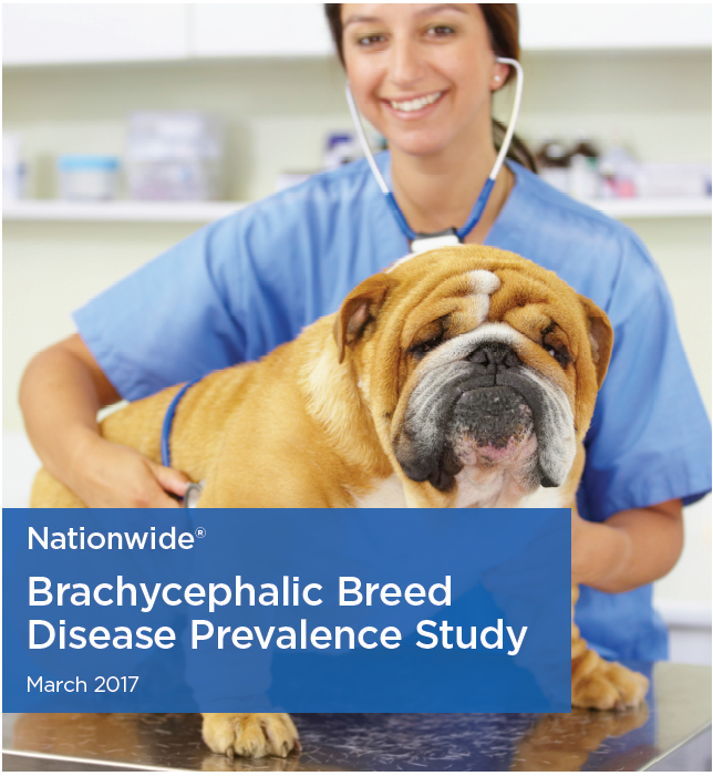nationwide-brachy study march 2017.png