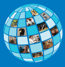 AW-Globe.png