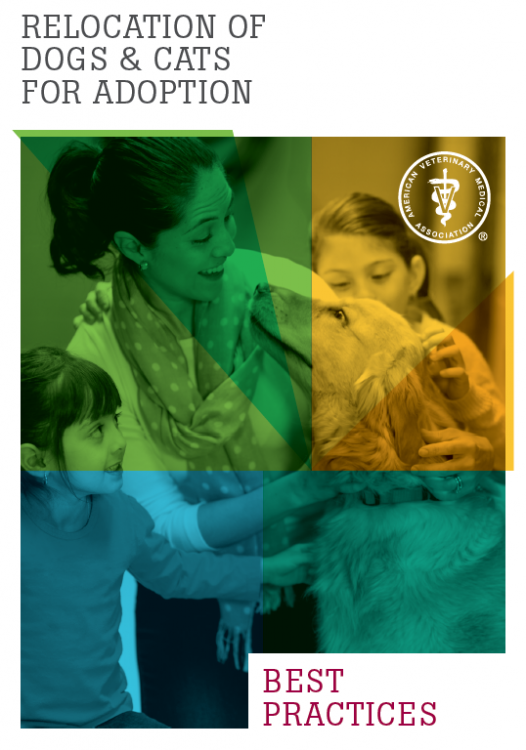 avmatransportadoptionbrochure.png