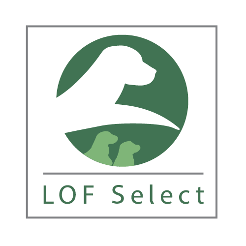 lof-select-logo-vect.png