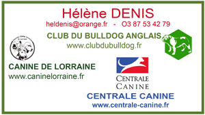 carte de visite2017 orangep.jpg