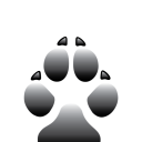 IPFD DWN Editor2
