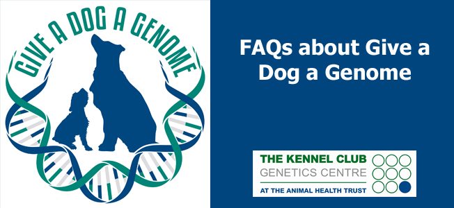 GDG_web_banner_-_FAQs.jpg