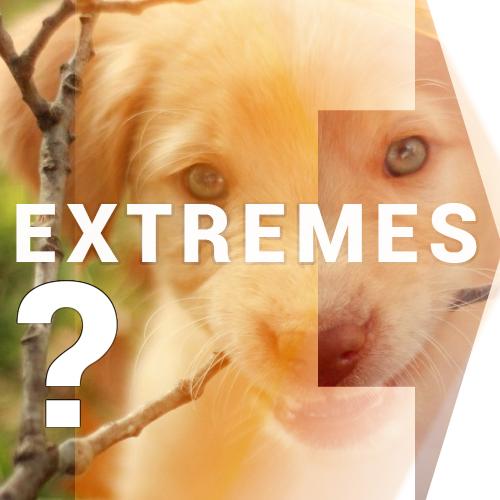 Extremes of Conformation: DWN Resources