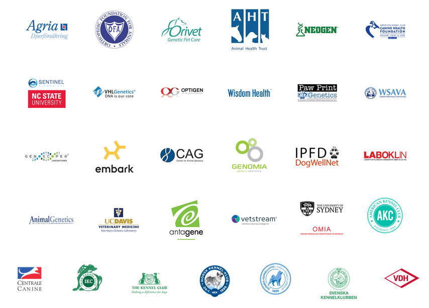 Leadership sponsors 2.png