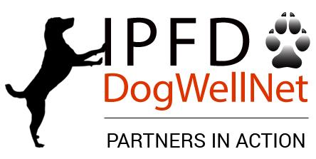 Partners in Action 1.jpg