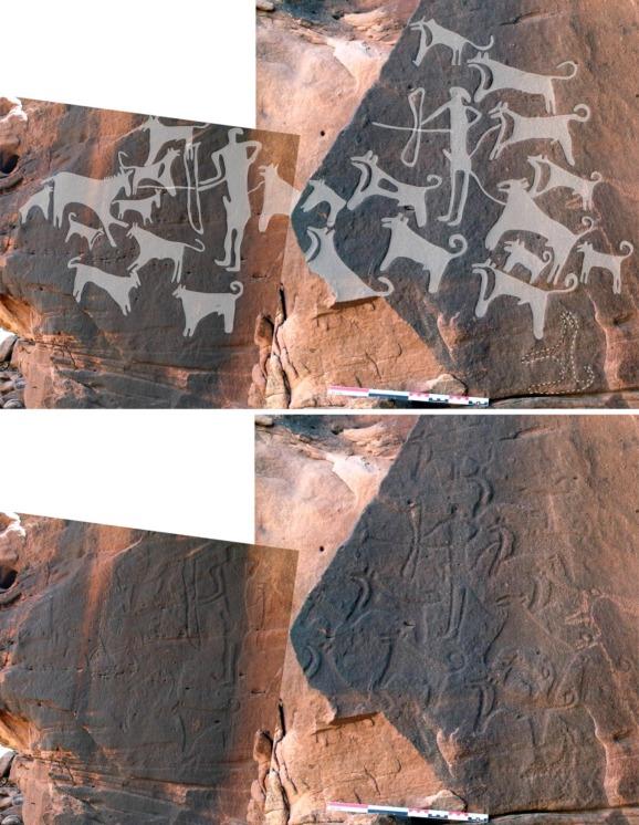 ancientdog.jpg