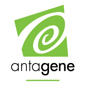 antegene.png