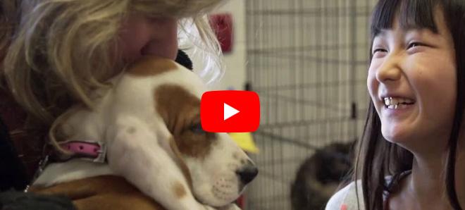 Adorable Hazel and Why One Welfare Can Help Address Breeding Dog Challenges