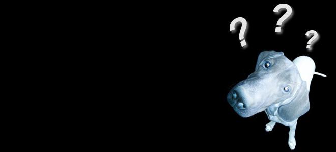 Introductory Blog and Questions to Ponder