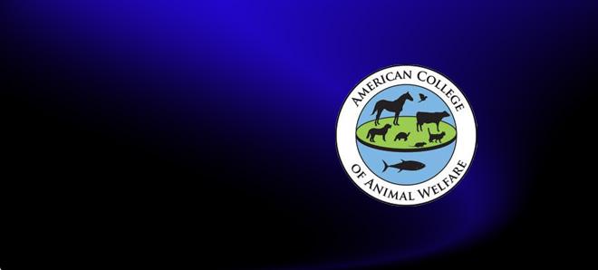 Veterinary Welfare Education in the United States