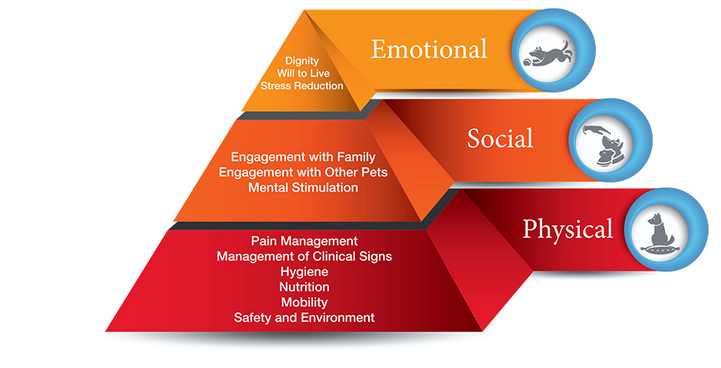 How Can We Improve End-of-Life Care?