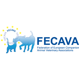 fecava-logo.png
