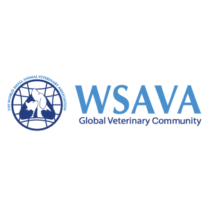 wsava.png