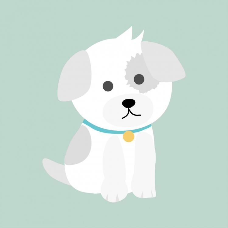 dog-puppy-illustration.jpg
