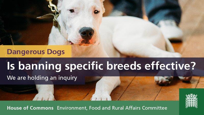 DfhMJJOWkAAC3sc.jpg large.jpg