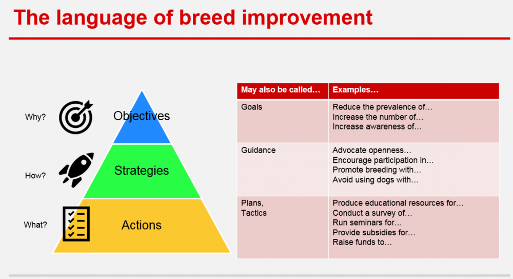 language of breed improvement.png