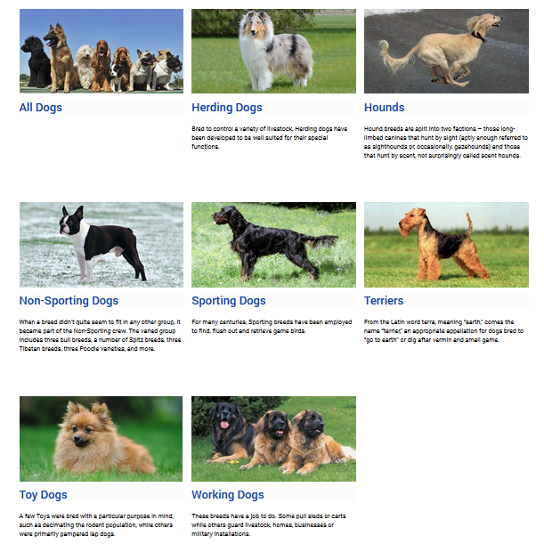 IPFD Partner Breed Resources Definitions and Background