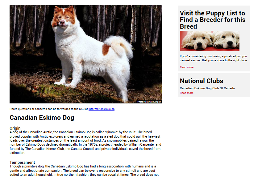 CKC Breed Search Results.png