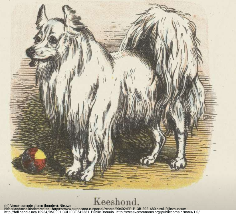 old-illustration-keeshond.png