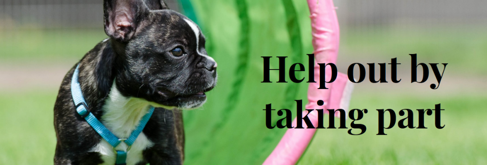 Cambridge Puppy Nostril Study