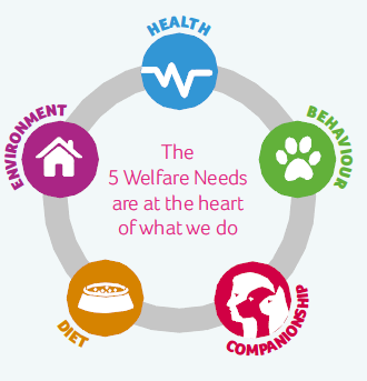 5welfareneeds.png
