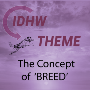 605363056_4th-idhw-theme-the-concept-of-breed-article.thumb.png