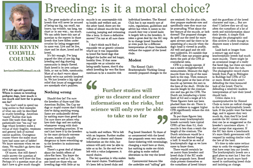 kevin-colwell-column---dog-talk---breeding-is-it-a-moral-choice.png