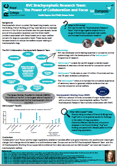 More information about "RVC Brachycephalic Research Team: The Power of Collaboration and Focus"