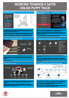 More information about "Working Towards a Safer Online Puppy Trade"